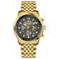 Chronosculpt Gold